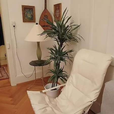 Charmante Jugendstilwohnung Mit Tiefengaragenplatz St. Gallen