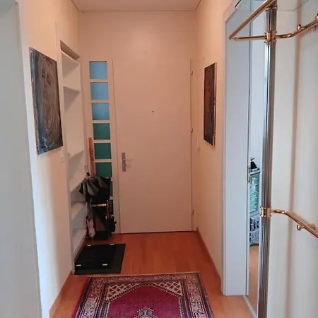 Charmante Jugendstilwohnung Mit Tiefengaragenplatz Appartamento St. Gallen